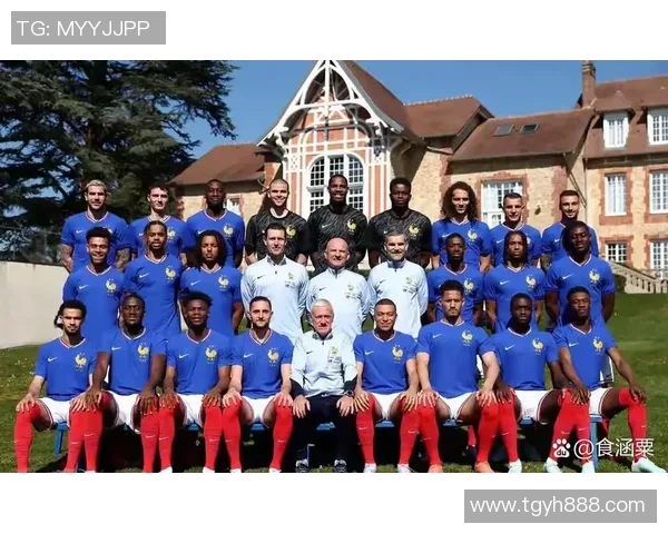 法国足球白人球员有哪些知名人物及其职业生涯成就分析 法国足球白人球员有哪些知名人物及其职业生涯成就分析